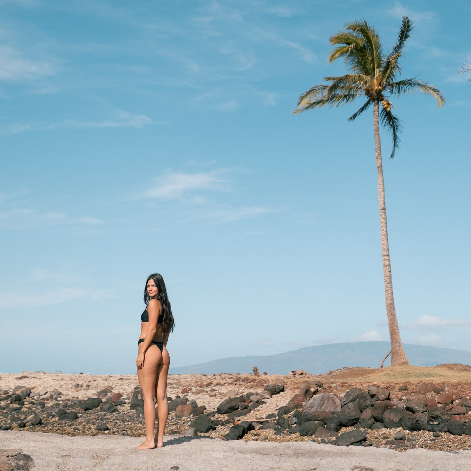 girl in black bikini and palm tree