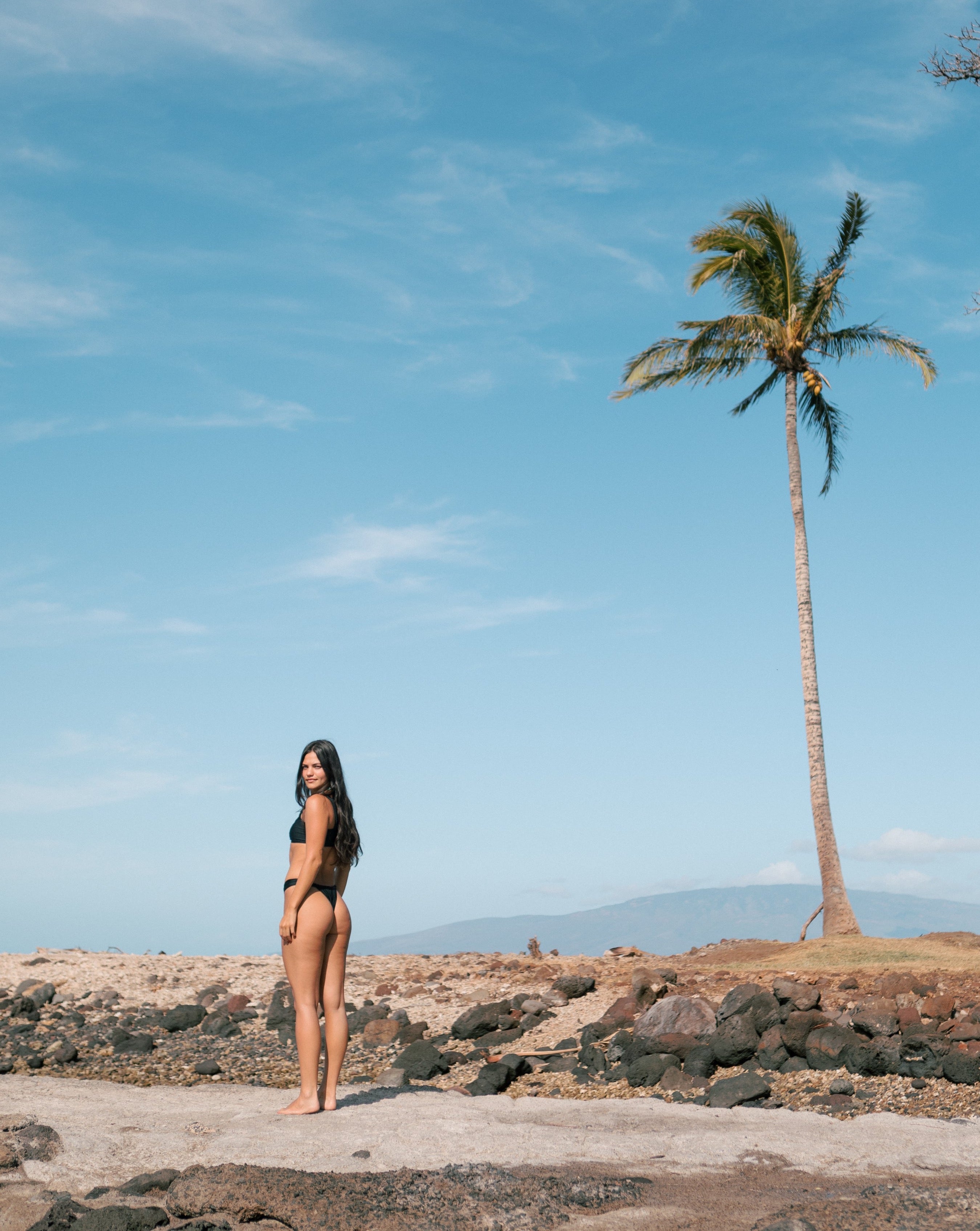 Honi honi top and ehukai bottom in ebony